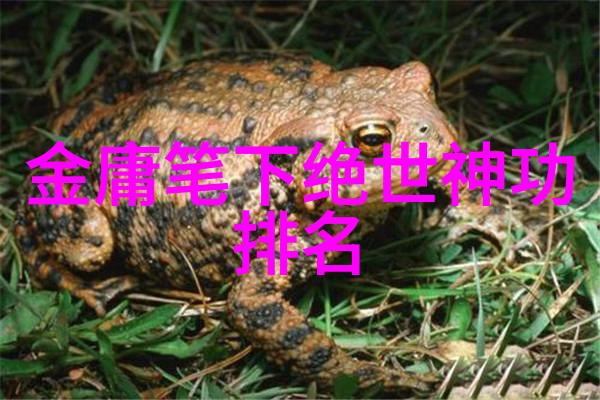 竹林抓功